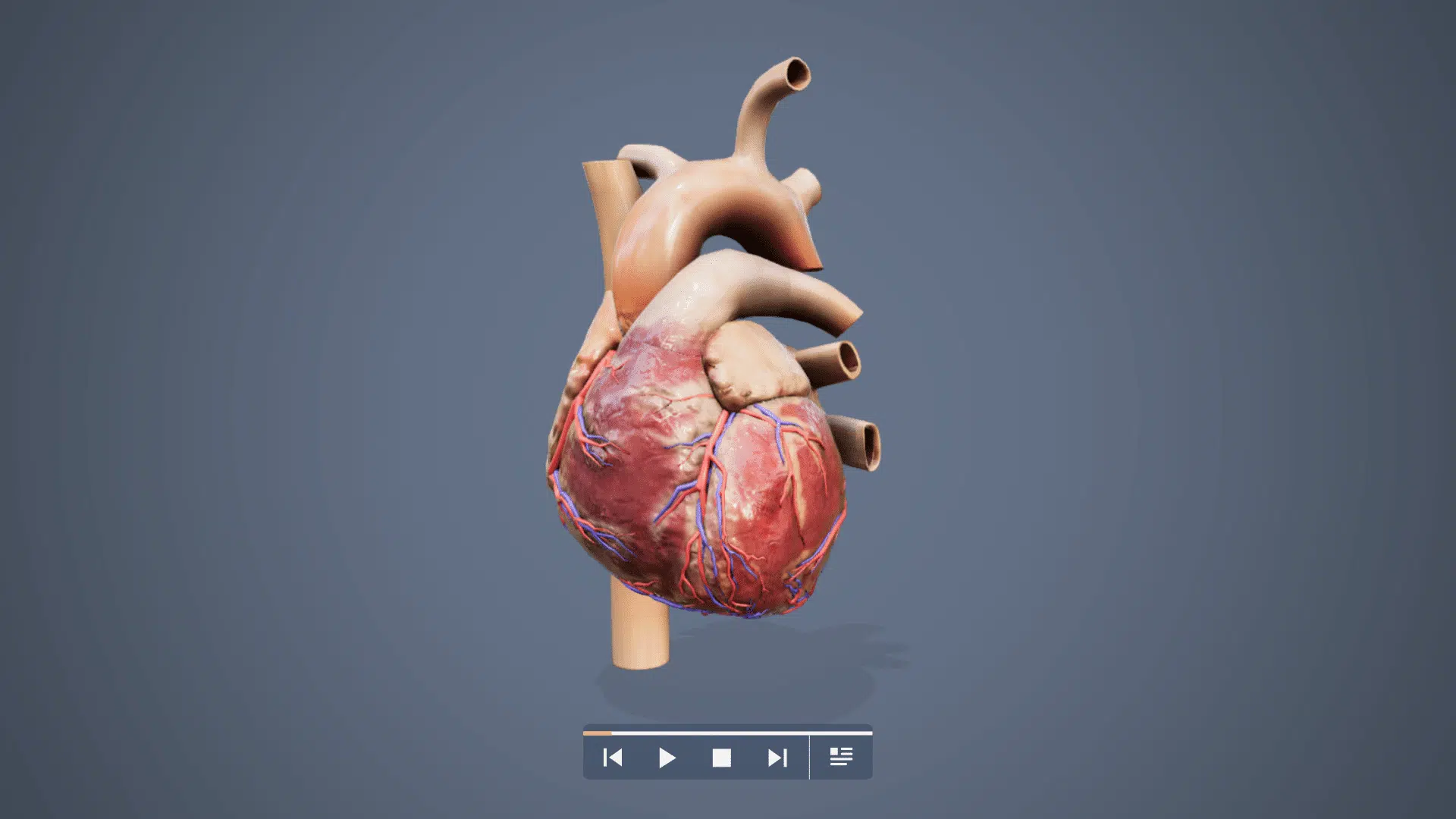 3D Artist 3 heart 1 1 20230510 102604